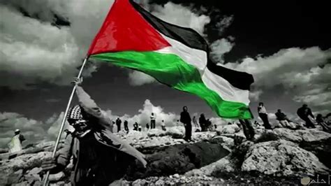 تحميل فيديو عن فلسطين